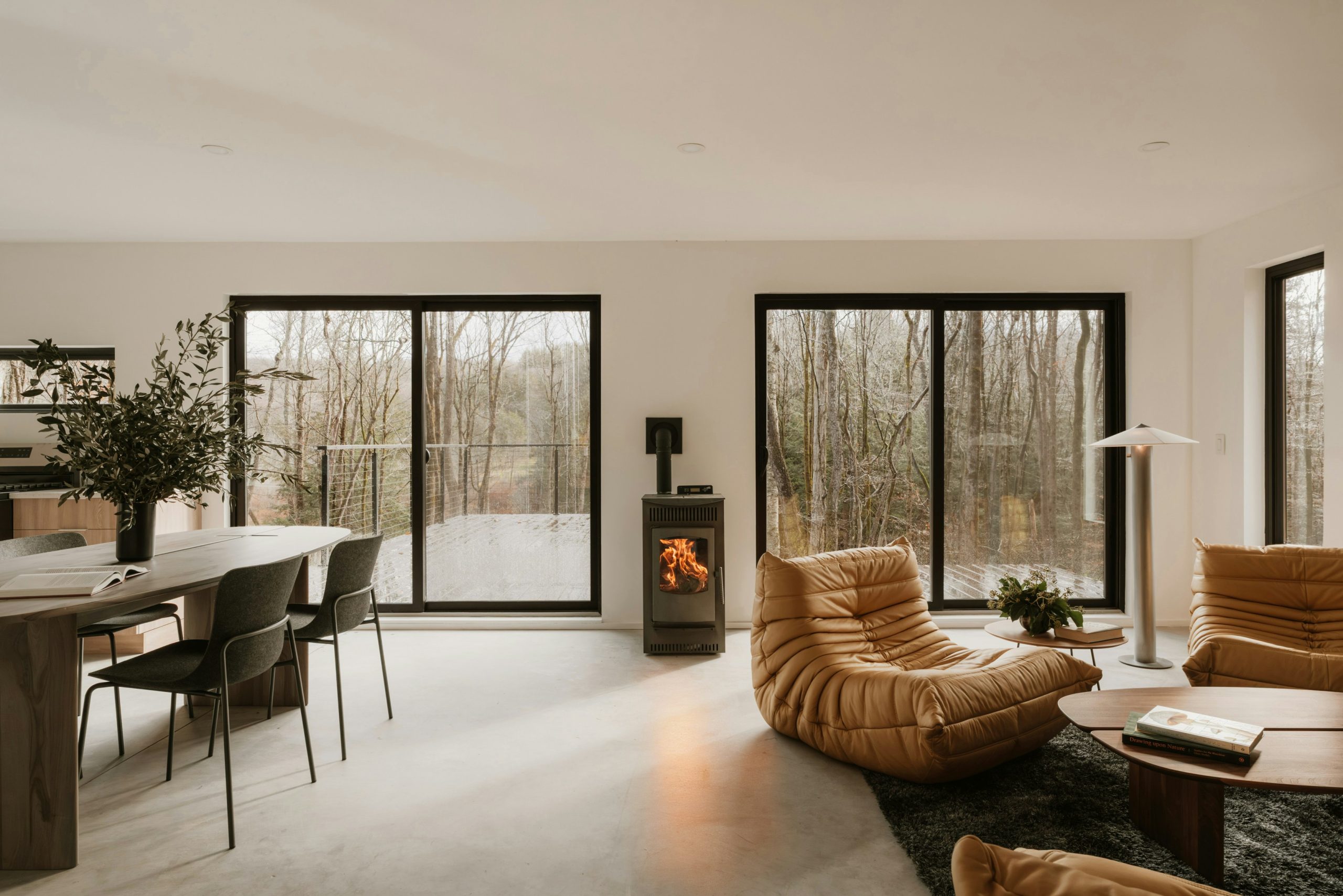 Home Environmental Reviews